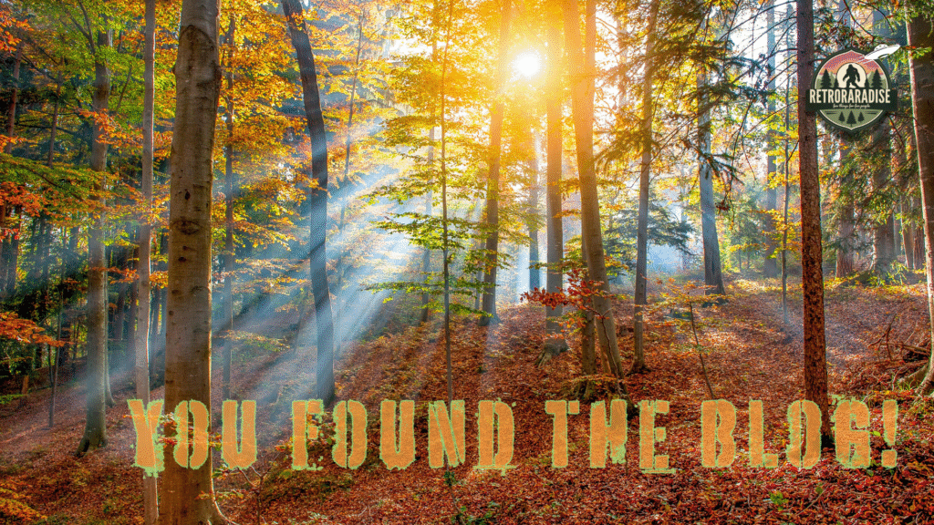 retroraradiseblogheadergraphic